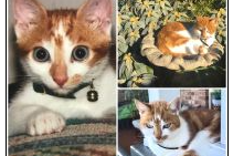 Screenshot-2025-08-21-152624-aspect-ratio-600-400