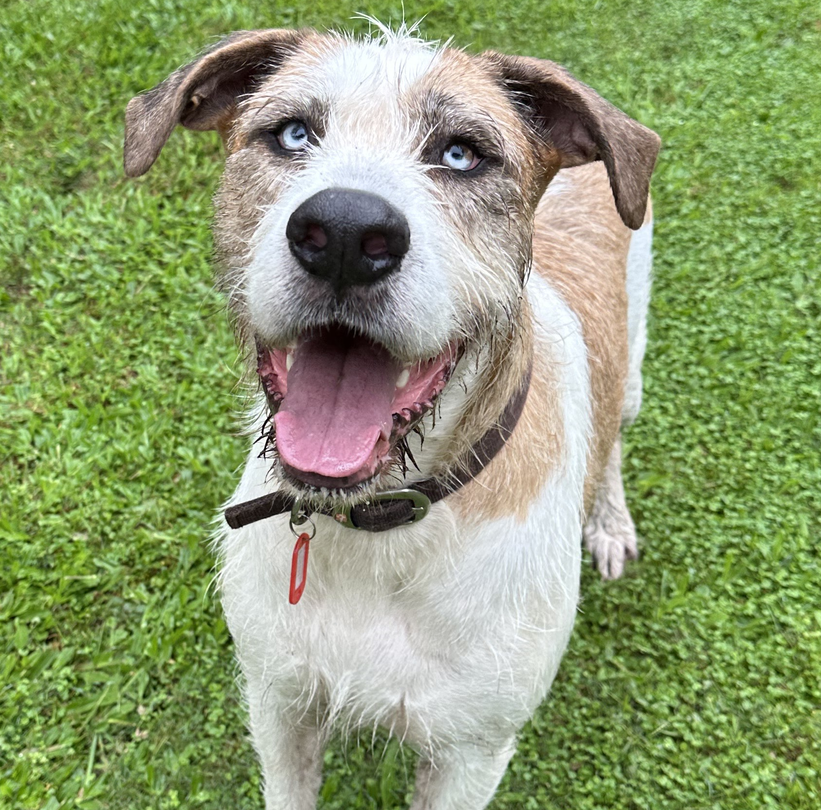 togo2998-1-aspect-ratio-600-592